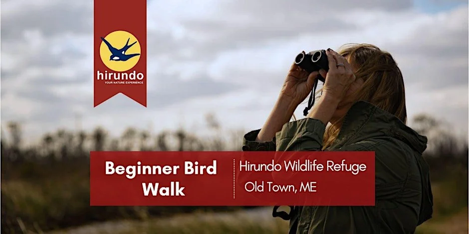 Beginner Bird Walk • Hirundo Wildlife Refuge