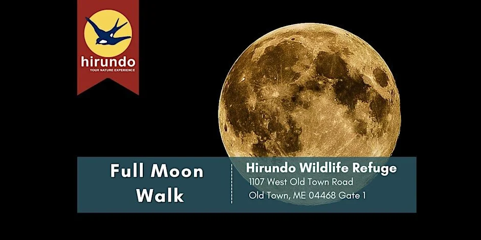 Full Moon Wildlife Hike • Hirundo Wildlife Refuge