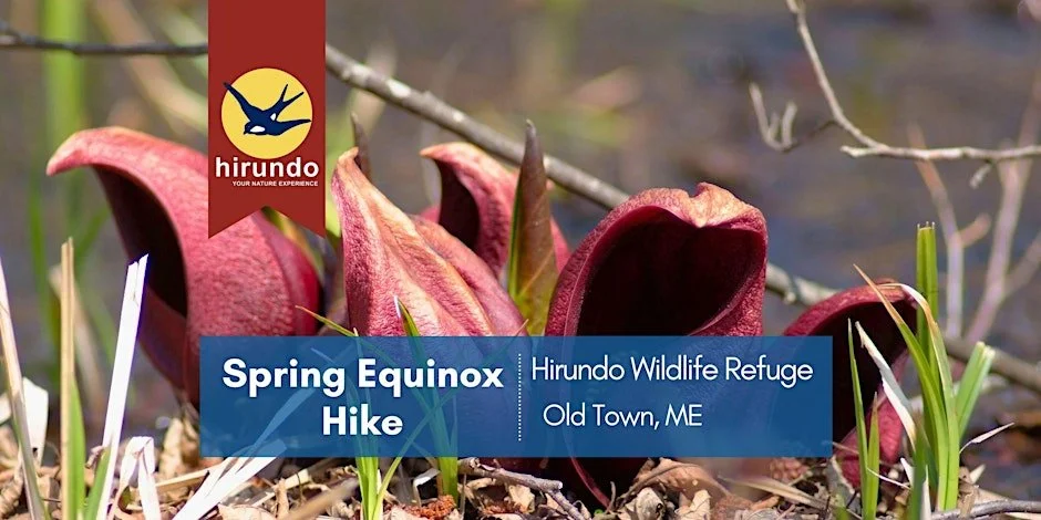 Spring Equinox Hike • Hirundo Wildlife Refuge