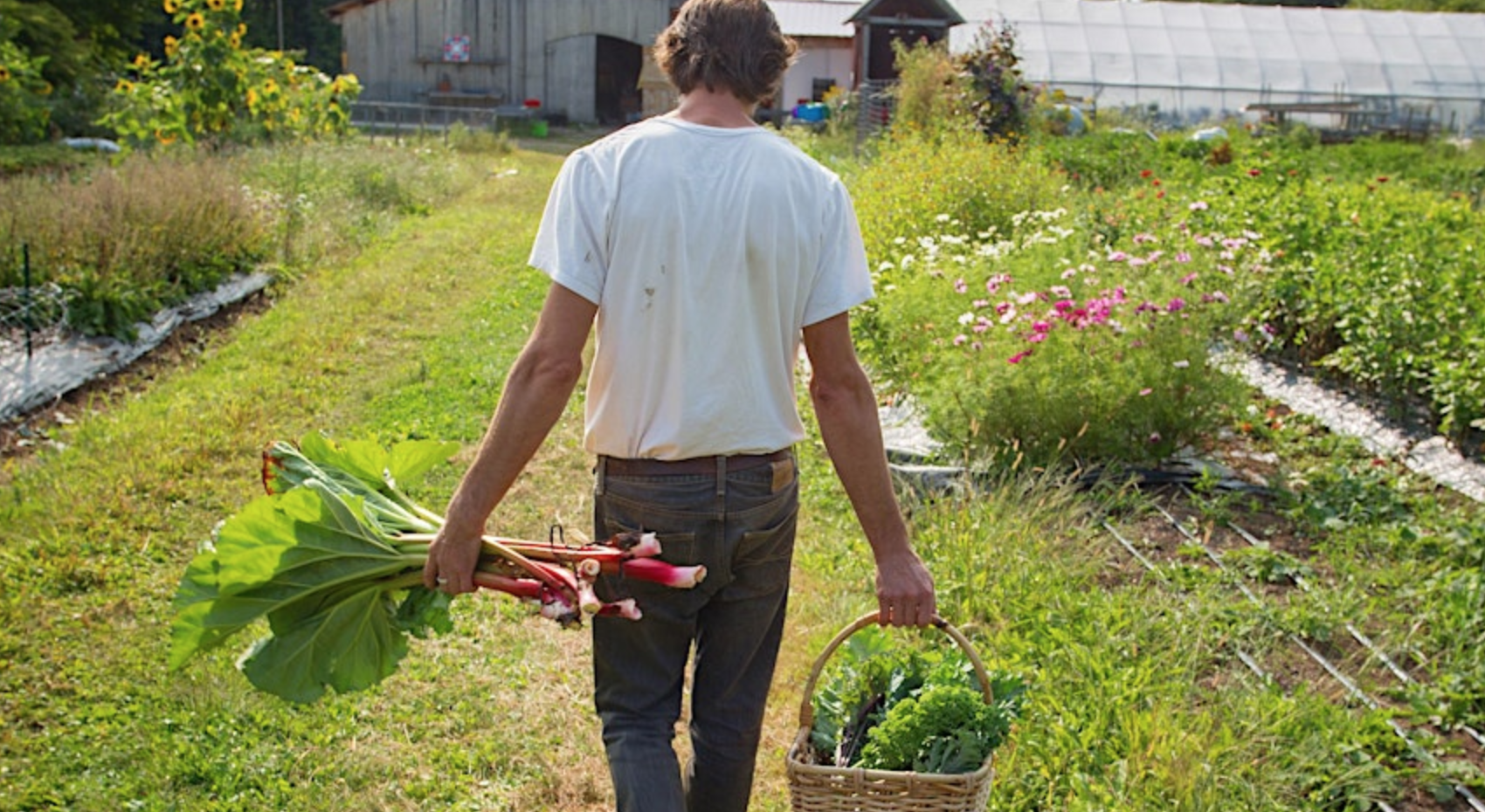 Organic Gardening Workshop at Frinklepod Farm