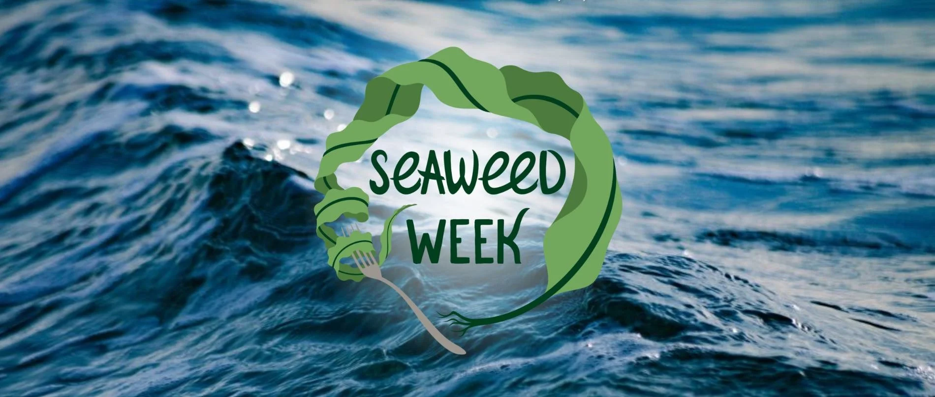 Seaweed Week: 8th Annual Food & Drink Celebration of Maine’s Kelp Harvest