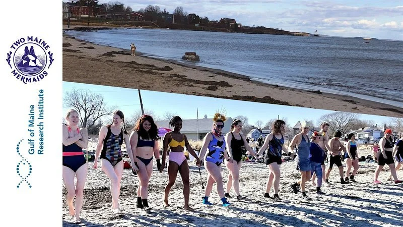 Dip After Dark! Documenting Extreme High Tides with Two Maine Mermaids • GMRI