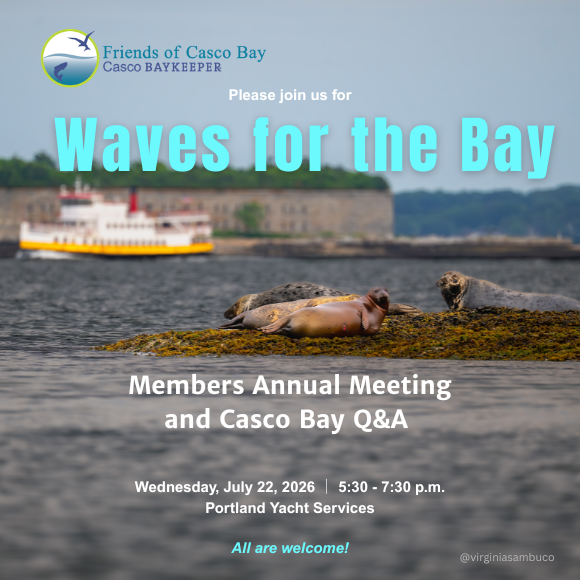 Waves for the Bay • Friends of Casco Bay