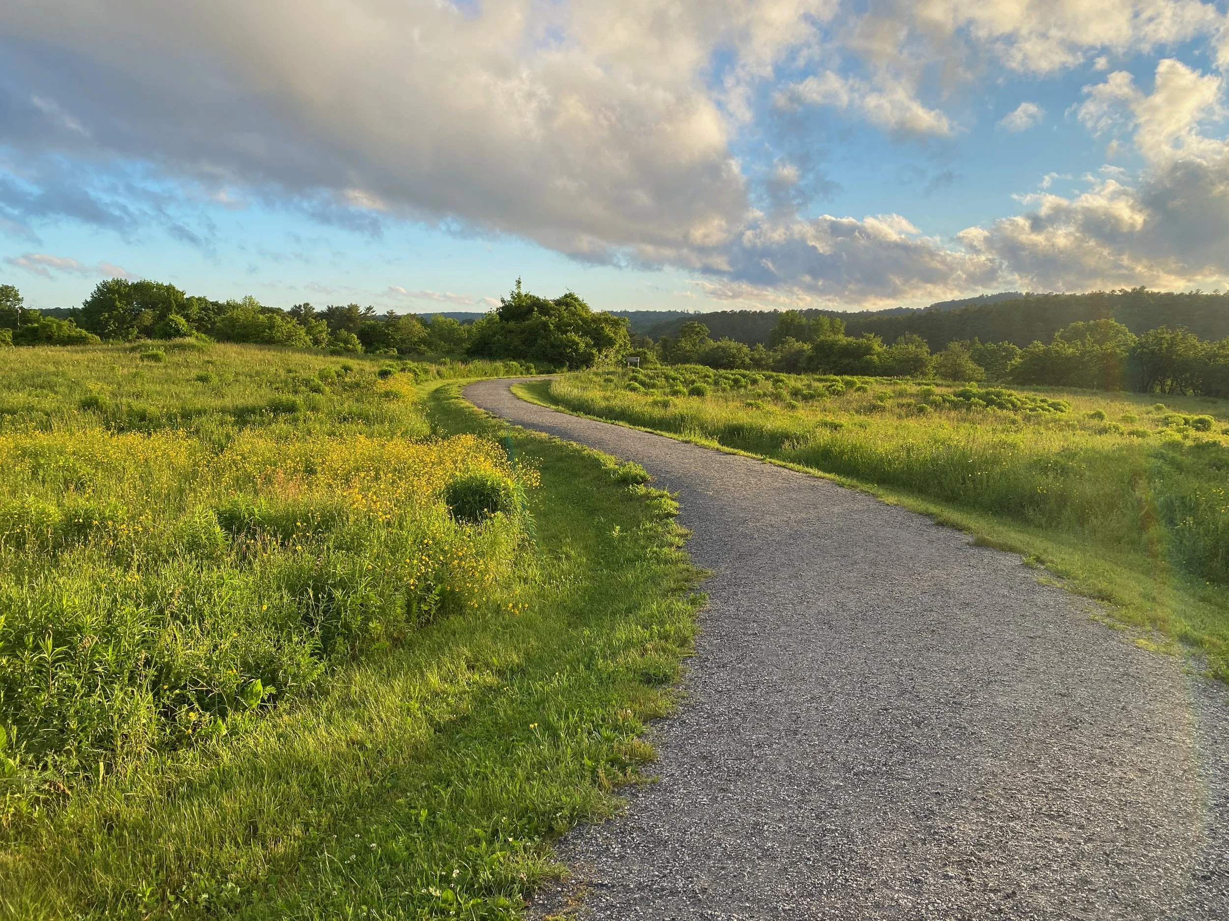 Wide open trails