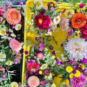 Harvesting and Arranging Garden Flowers with UMaine Cooperative Extension