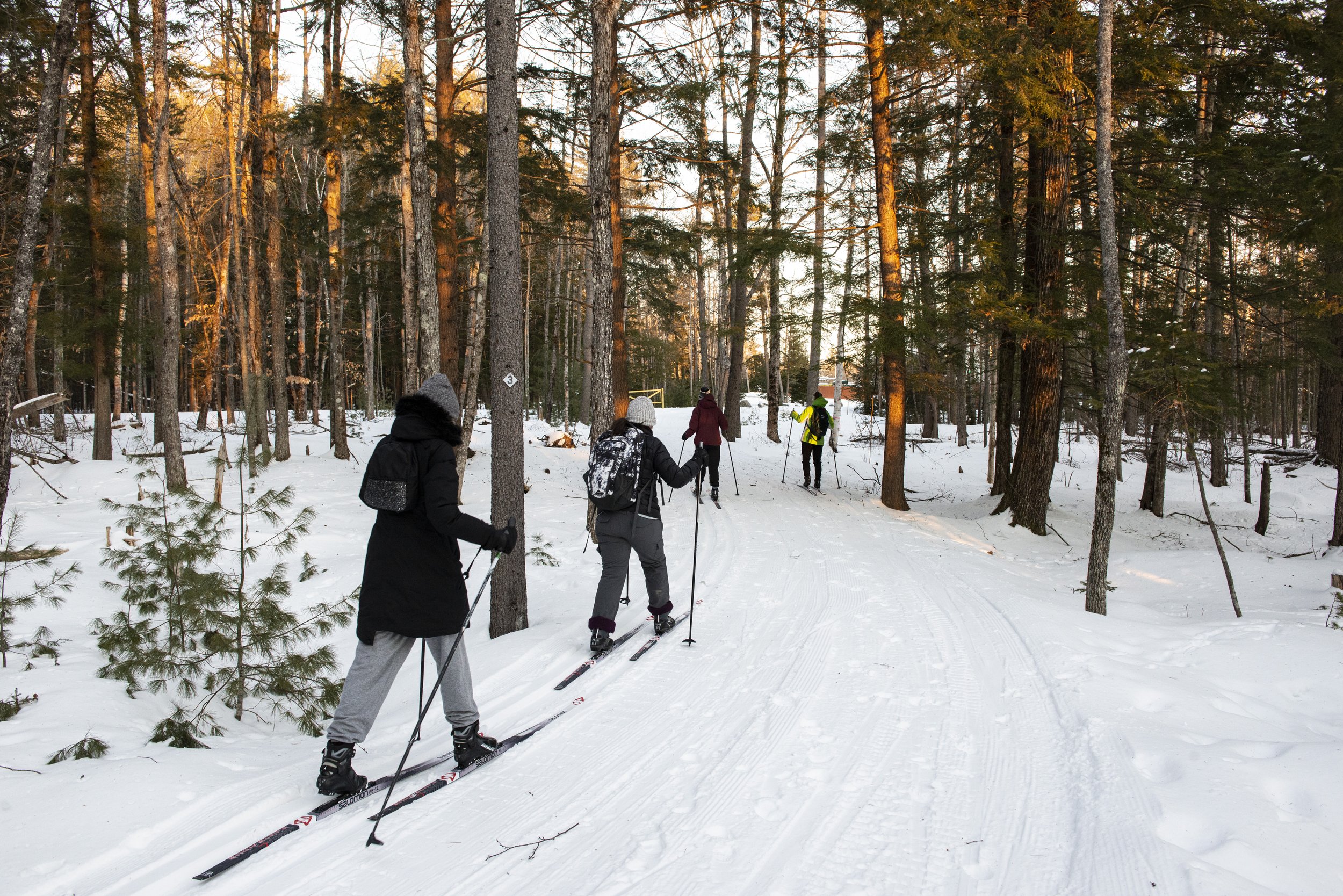 Checking out gear libraries just makes sense