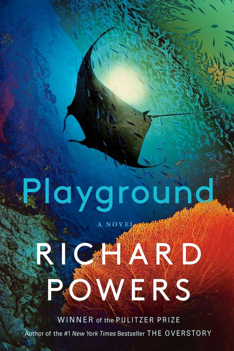 Playground - book cover of ray swimming through the ocean, as seen from the perspective of the sea floor