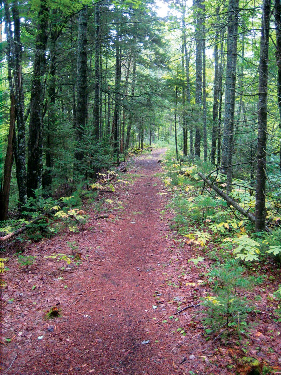 Belfast Rail Trail - Maine Trail Finder