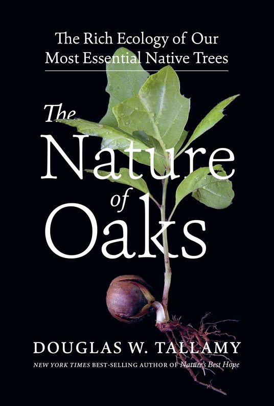 The Nature of Oaks - book cover with photo of oak sapling growing from an acorn on black background