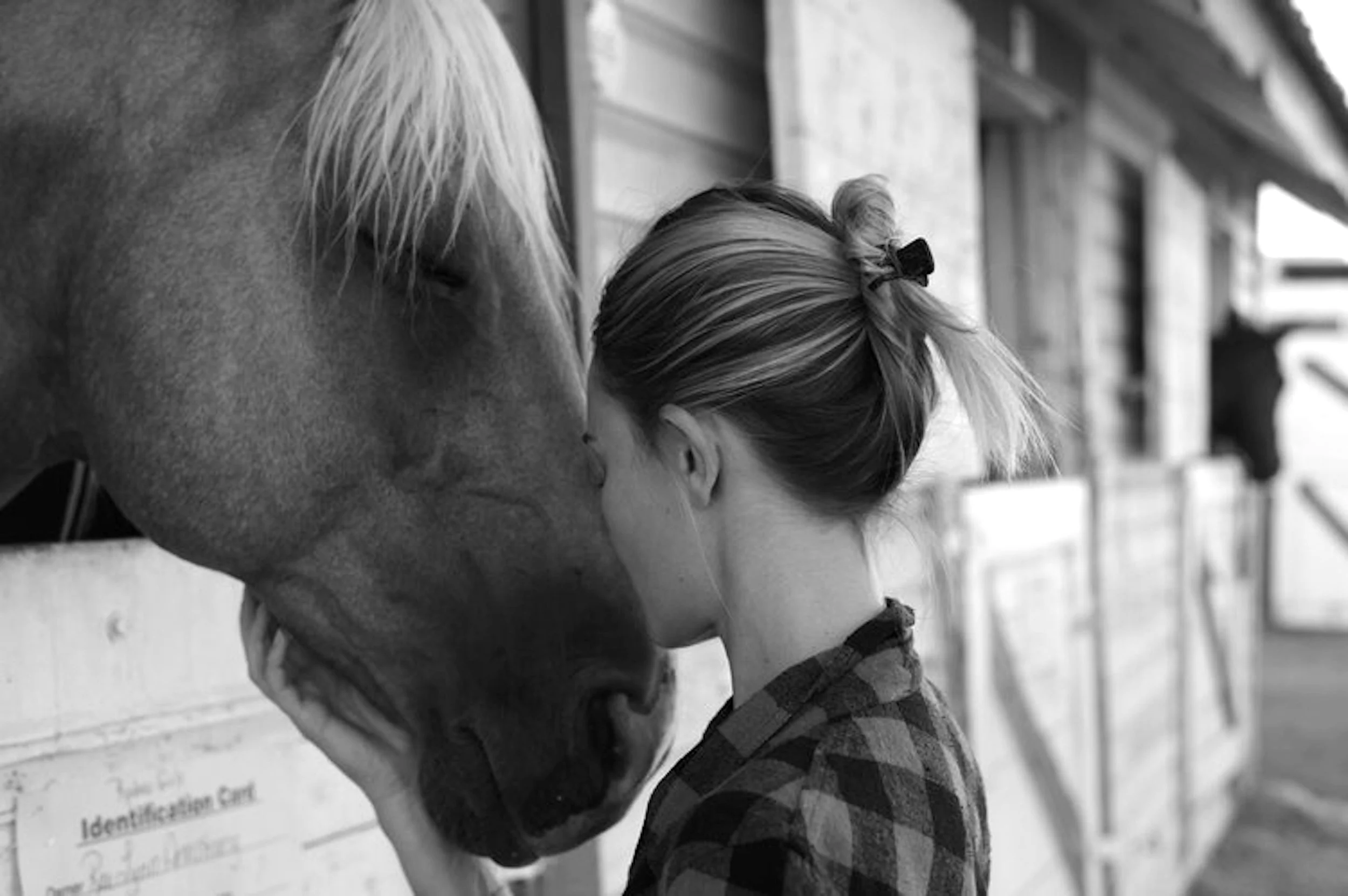 BRING ON THE DANCING HORSES