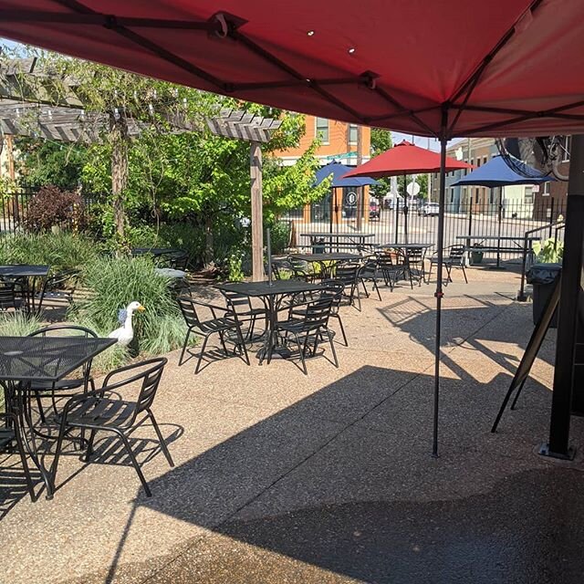 HFD! Come on down to the patio between 11 and 3 for a delicious brunch bisquit! Mimosas and bloodys on deck! #fathersday #biscuits #littlefieldns