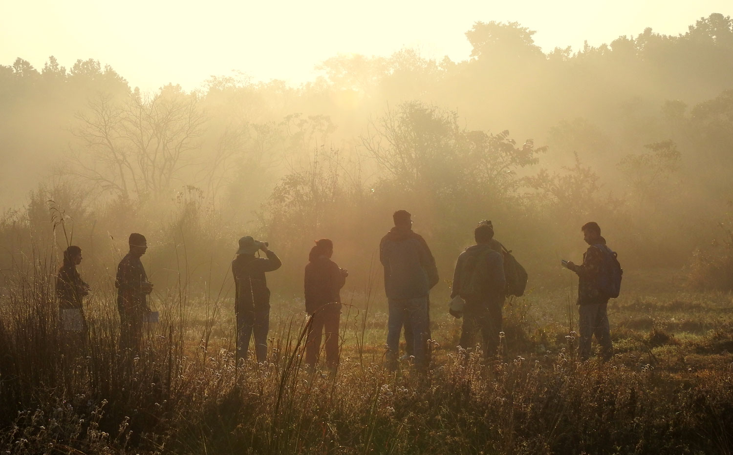 7. Watch Birds, Share What You See