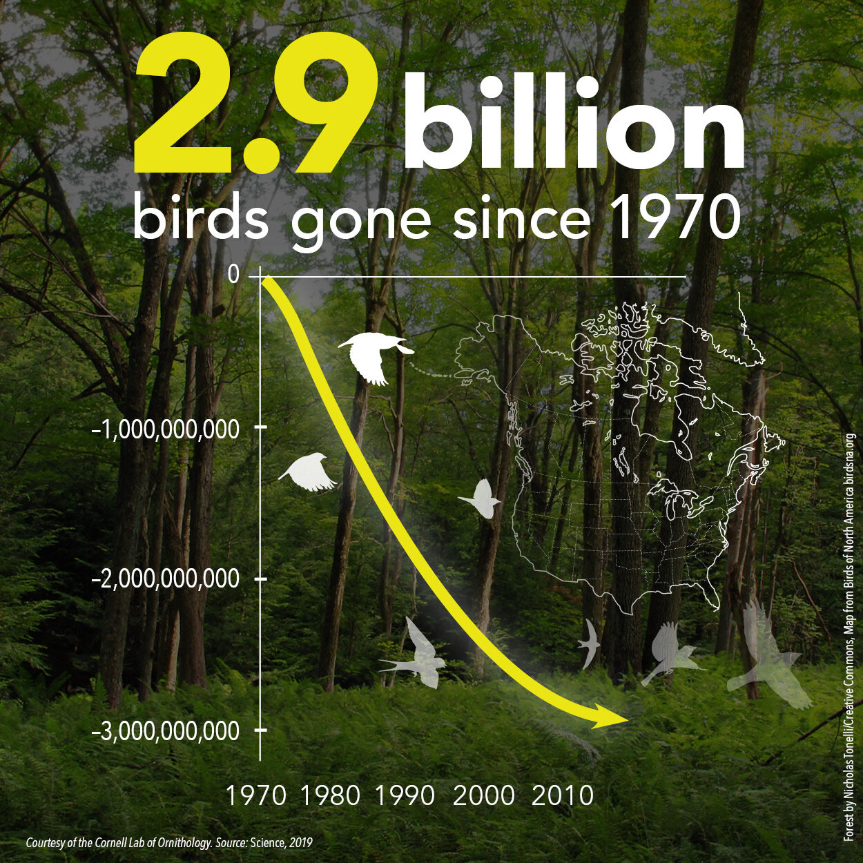 Note: This graph has been updated to reflect the technical image from the Science paper.