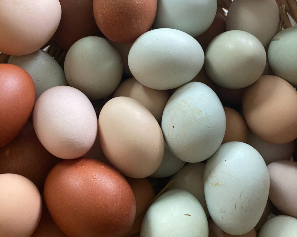 Powerful Touchpoints