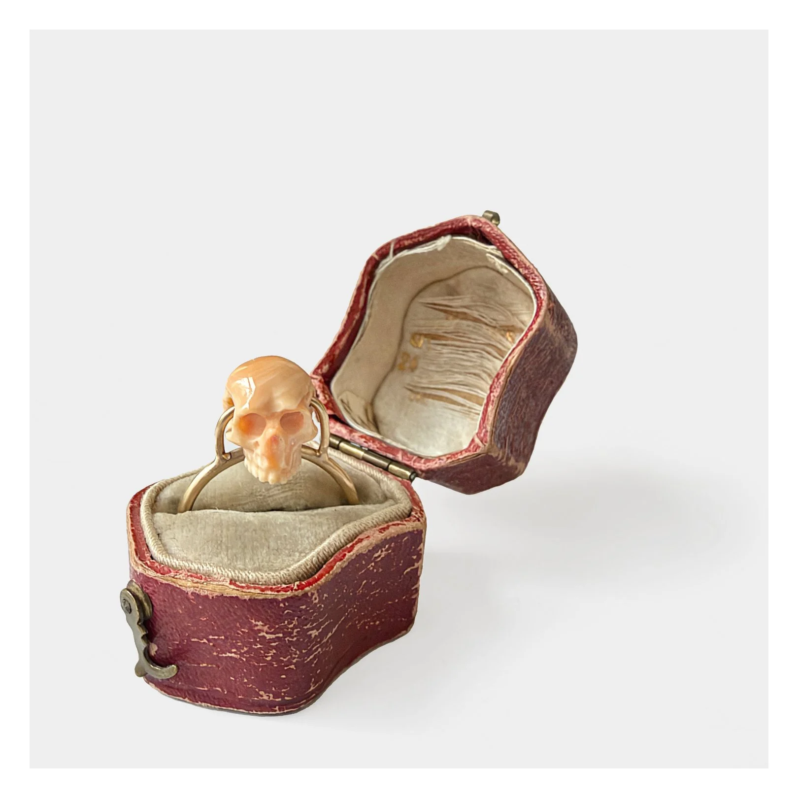 coralskullring.jpg