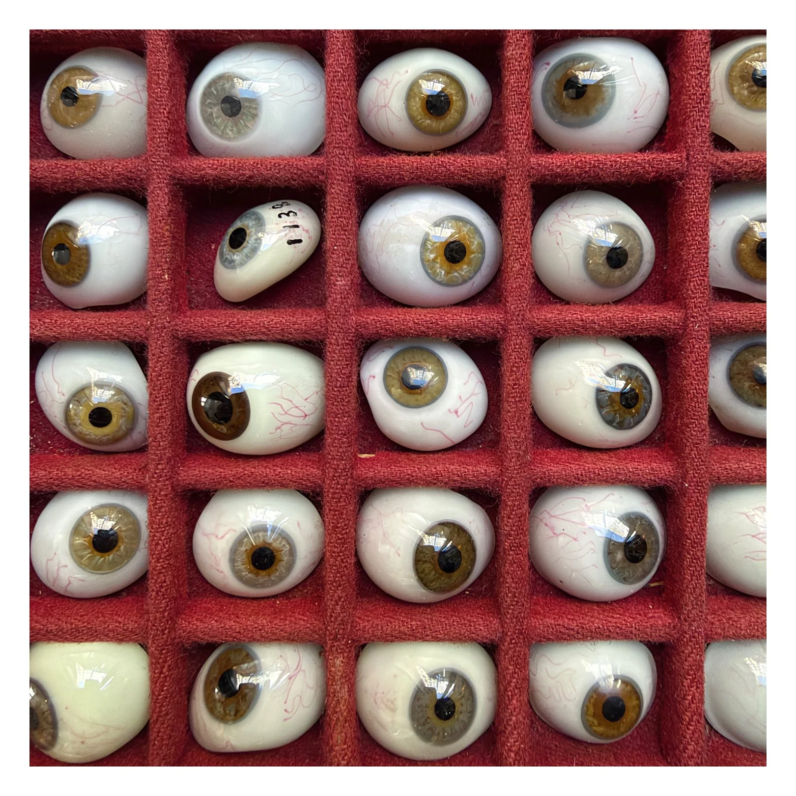 glasseyes.jpg