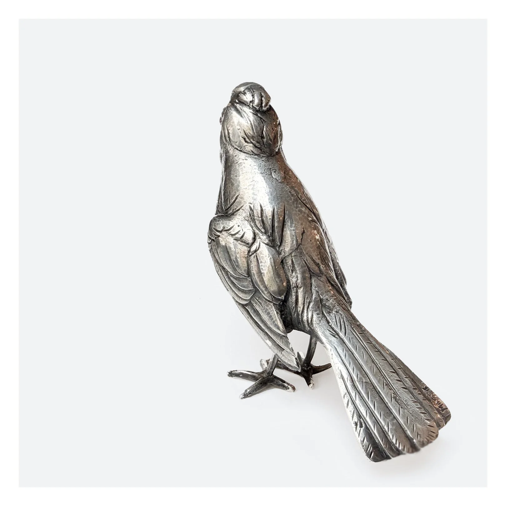 BUccbirdback.jpg