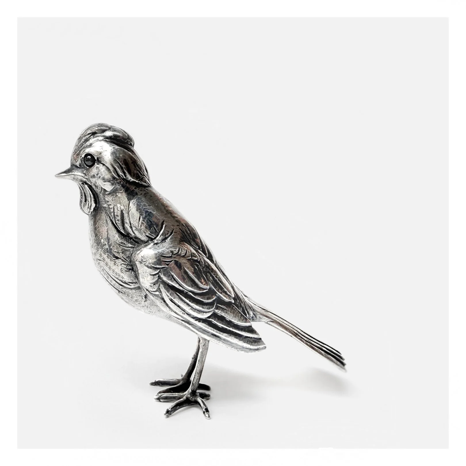 Silverbird1.jpg