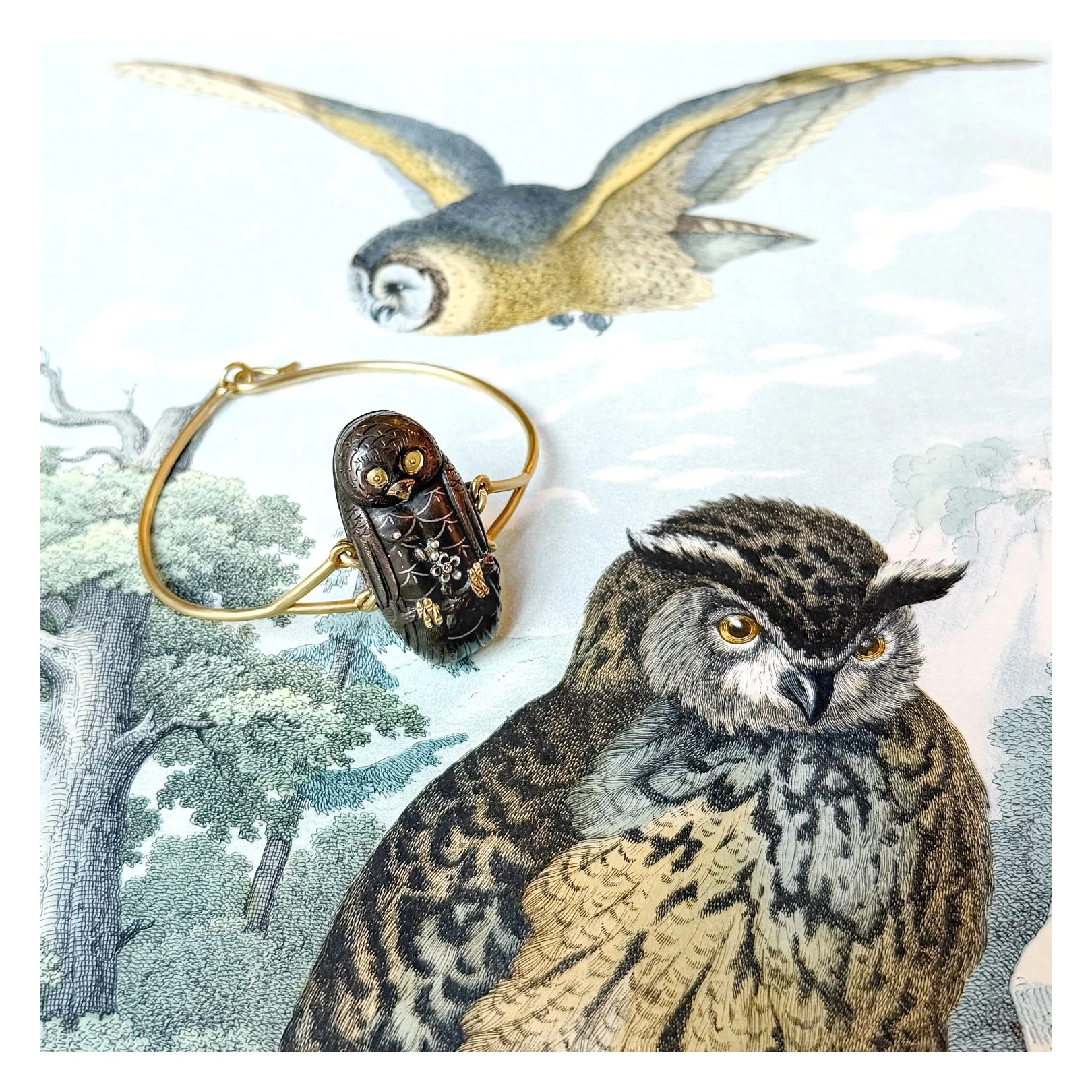 owlbraceprint.jpg