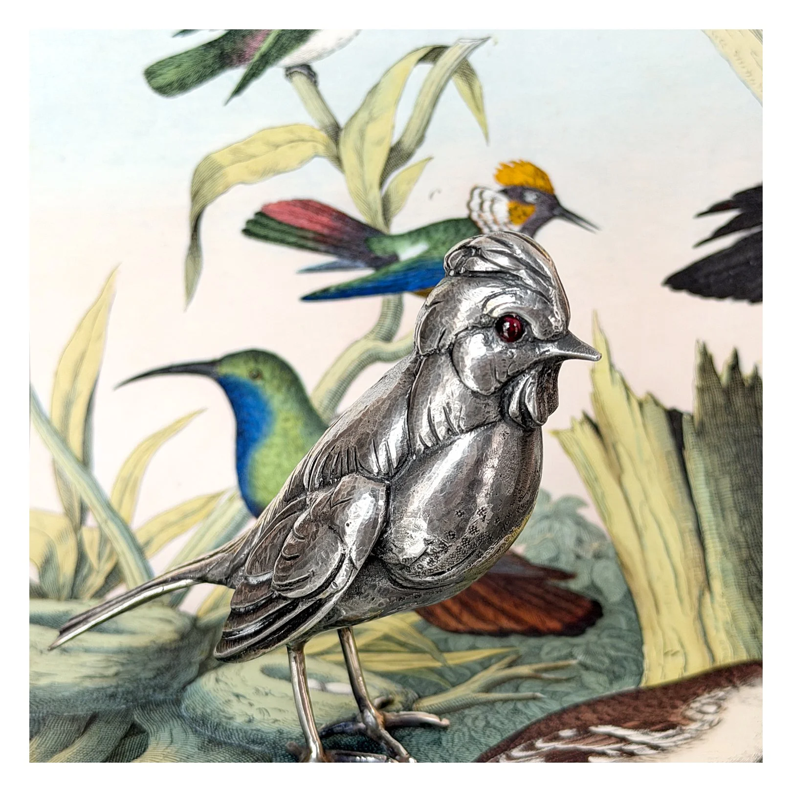 Buccbirdprint.jpg