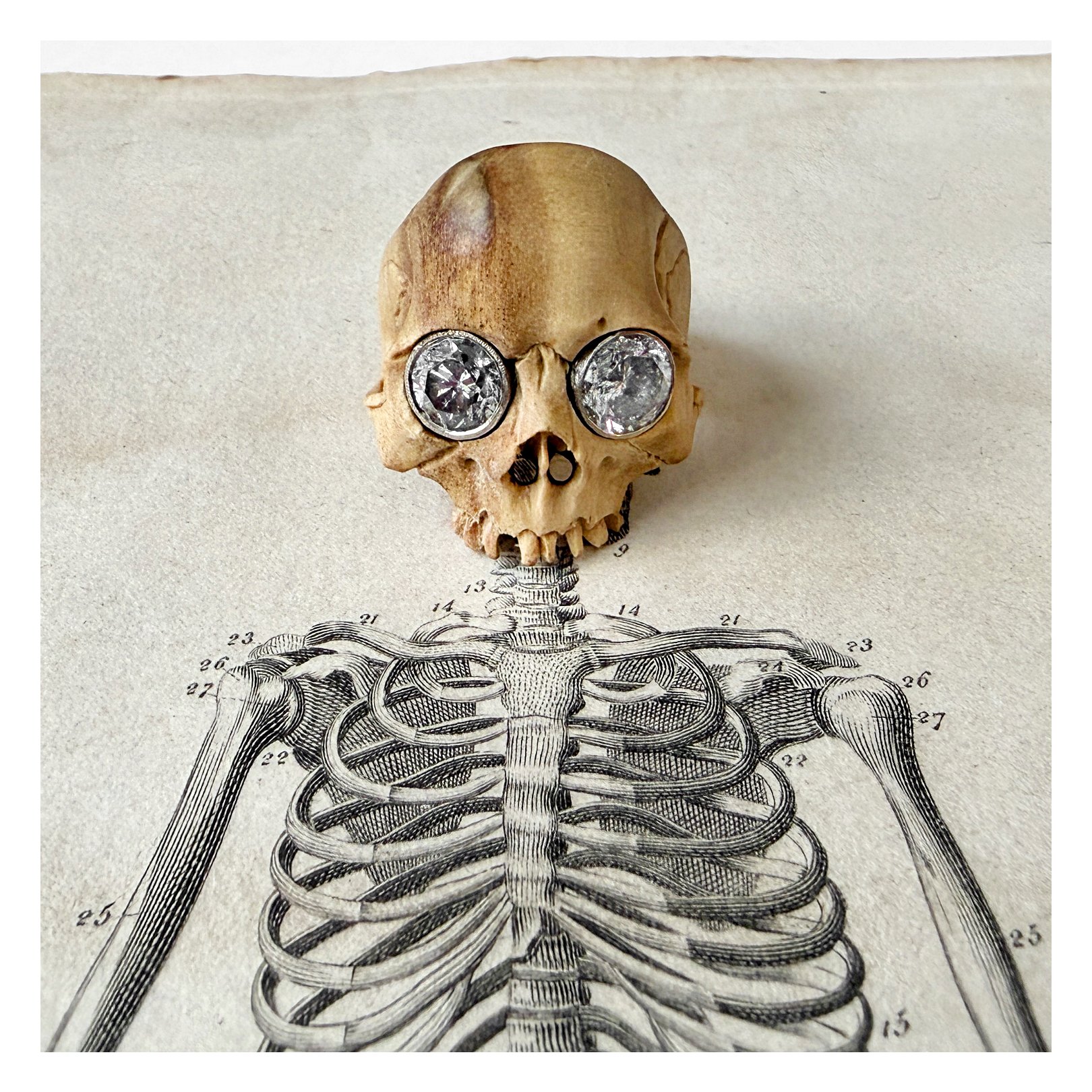 woodskull1.jpg