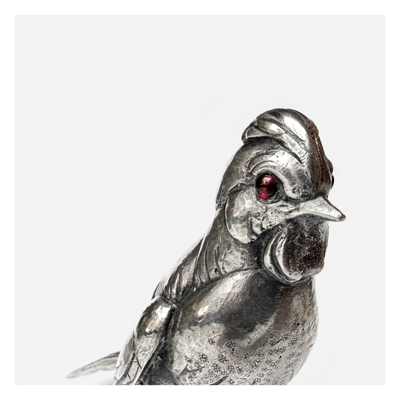 buccbirddetal.jpg