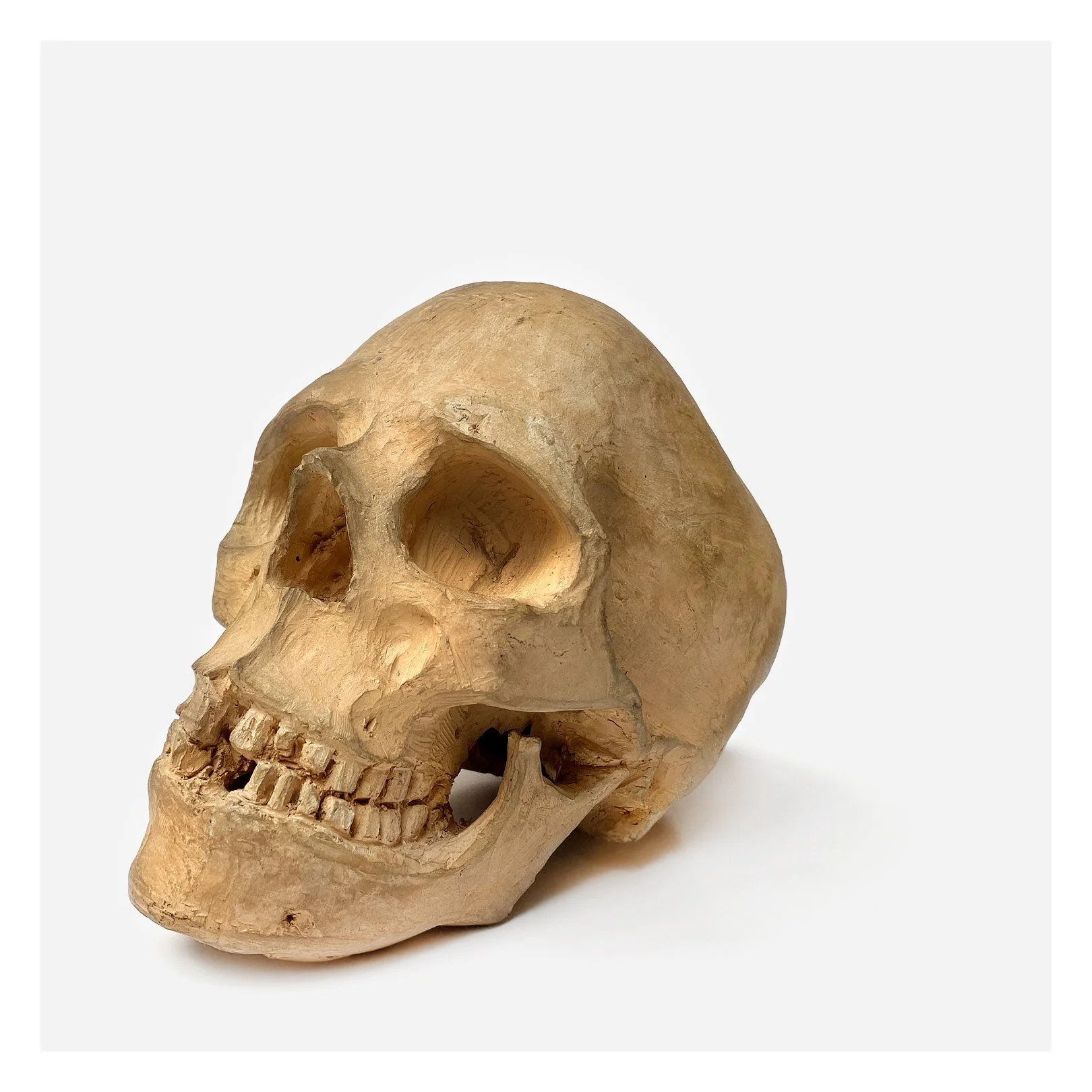skulldown.jpg