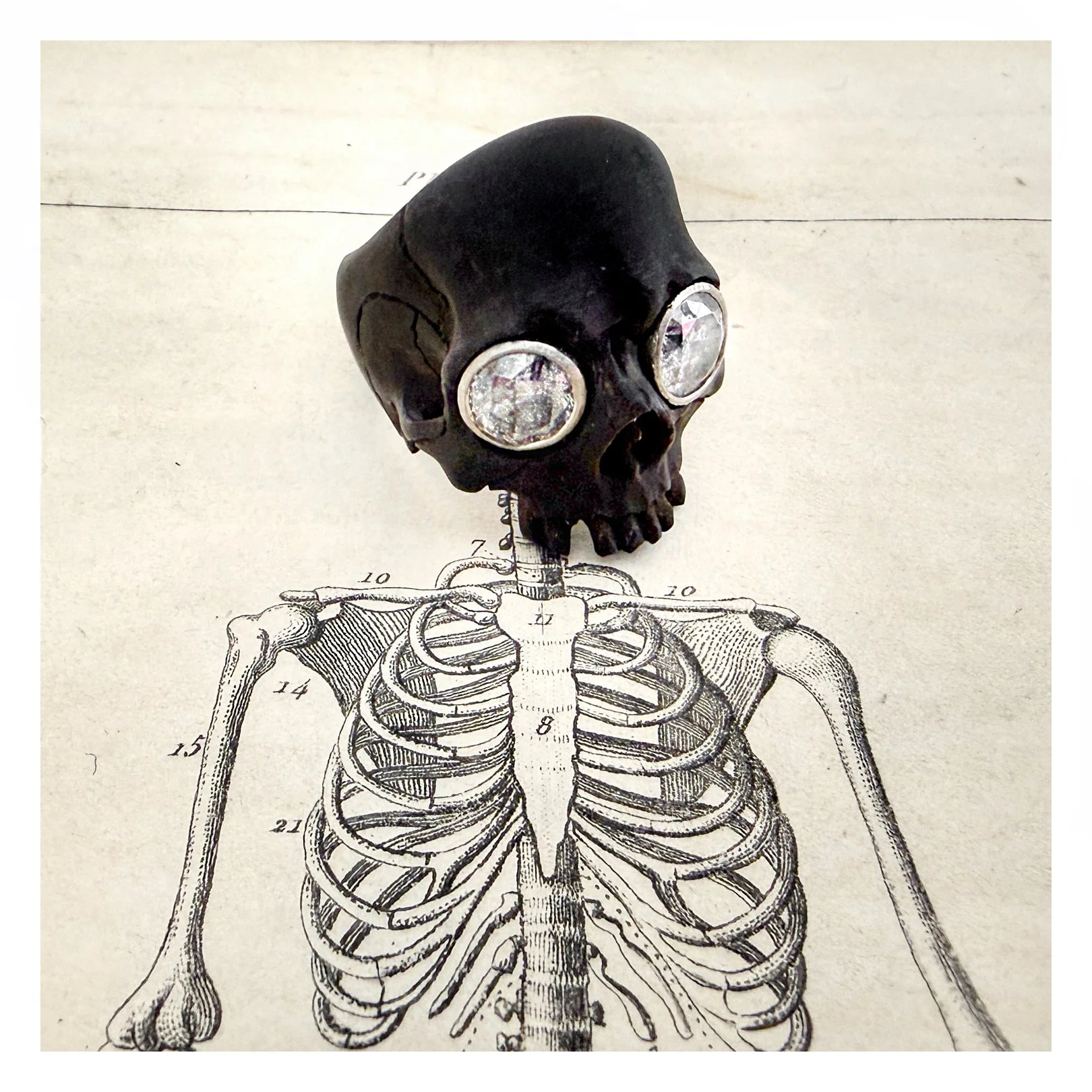 blackskull1.jpg