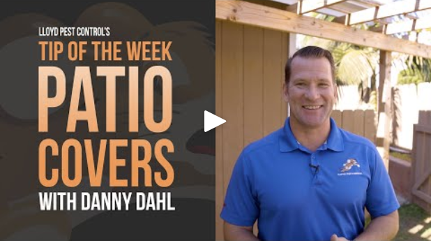 Patio Covers, how to protect them