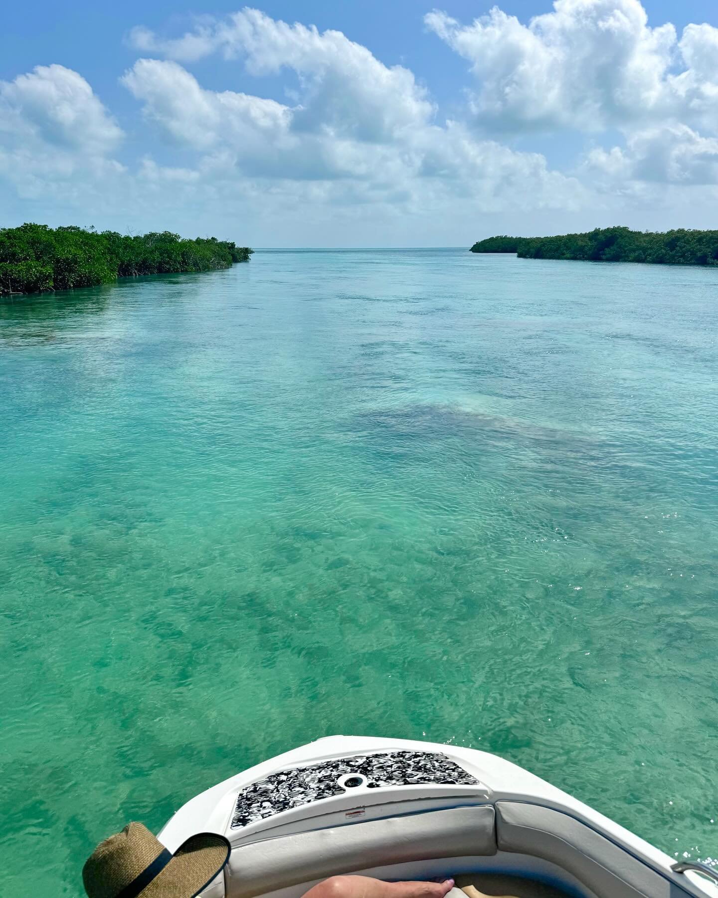 Exploring remote estuaries&hellip; swipe for a surprise ⭐️

#sillycreekwatersports #turksandcaicos #starfish #boatcharter #boatday #oceanlover