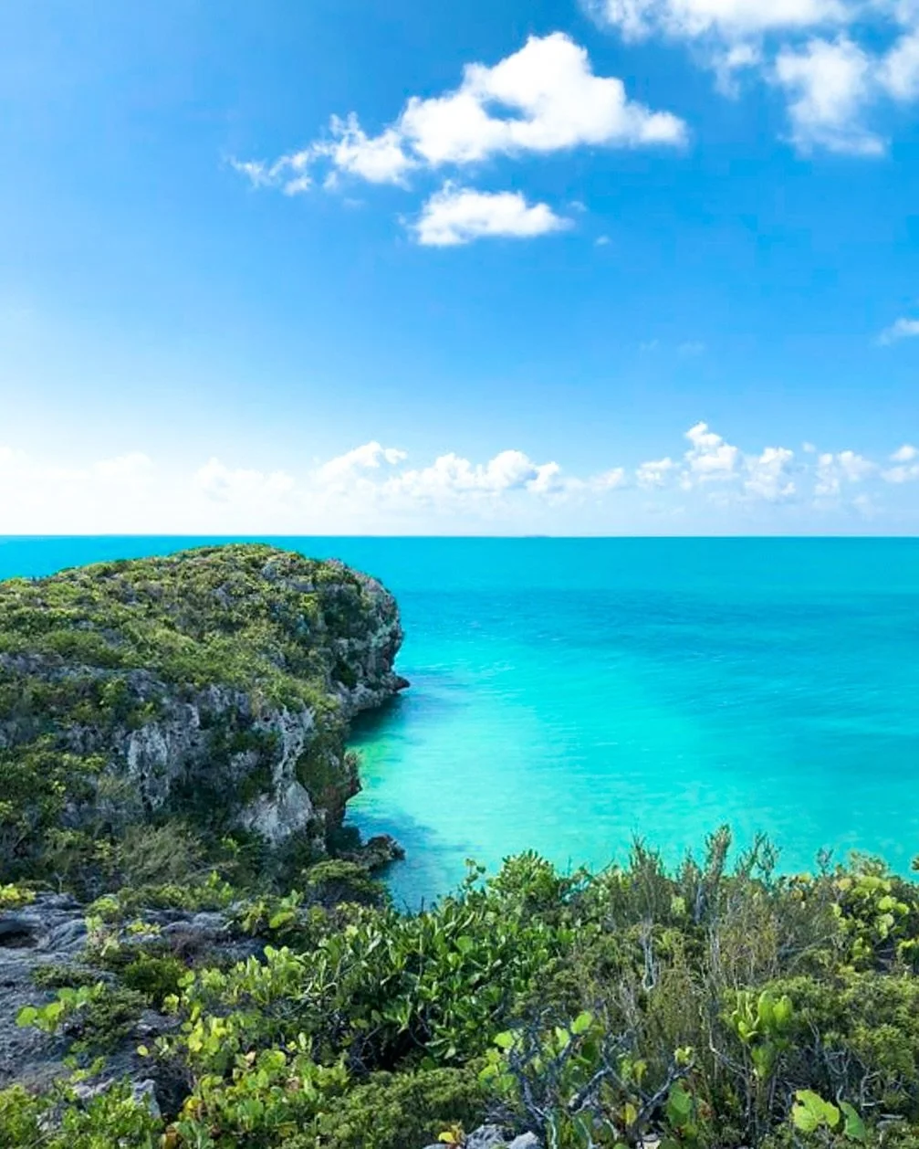 This water is unreal 💙 Turks &amp; Caicos ocean, you always show off in the best way.

#TurquoiseDreams #SillyCreekScenes #OceanPerfection #TCIWaters #NoFilterNeeded