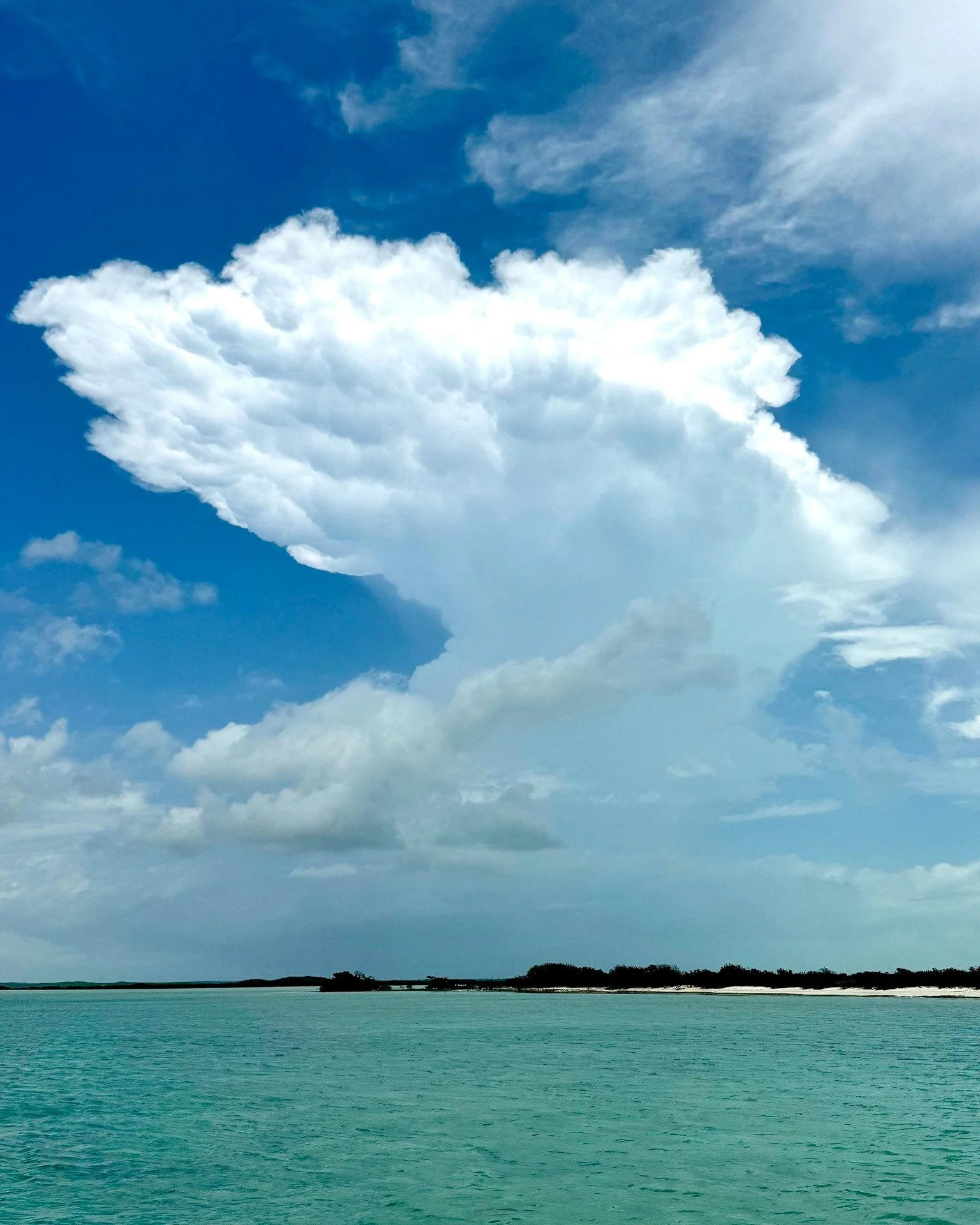 Turquoise for days and skies that go on forever 🌊☁️ 

Can you name a better view? We&rsquo;ll wait. 

#SillyCreekAdventures #ParadiseFound #OceanBliss #TurksAndCaicosViews