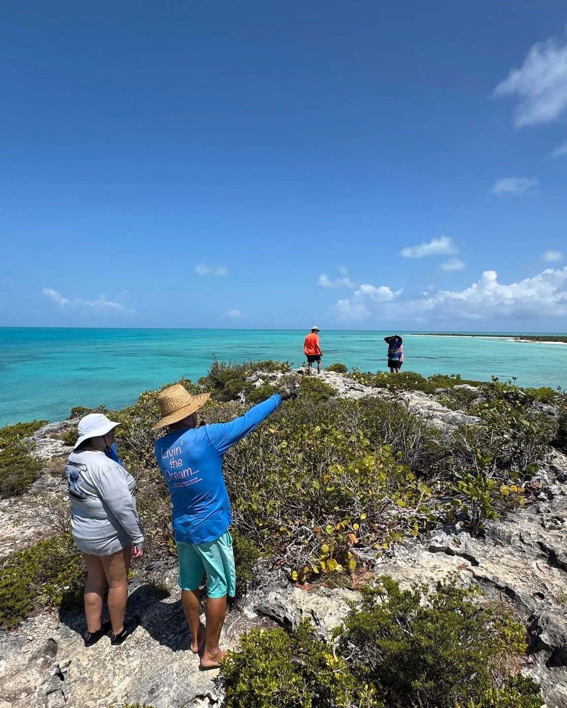 Views for days. Cruise with us to the southwest point of Providenciales and soak in the beauty of Pigeon Pond &amp; Frenchman&rsquo;s Creek Nature Reserve. Raw, untouched, and absolutely breathtaking. 🌿🌊 

Book your seat and see it for yourself! 

