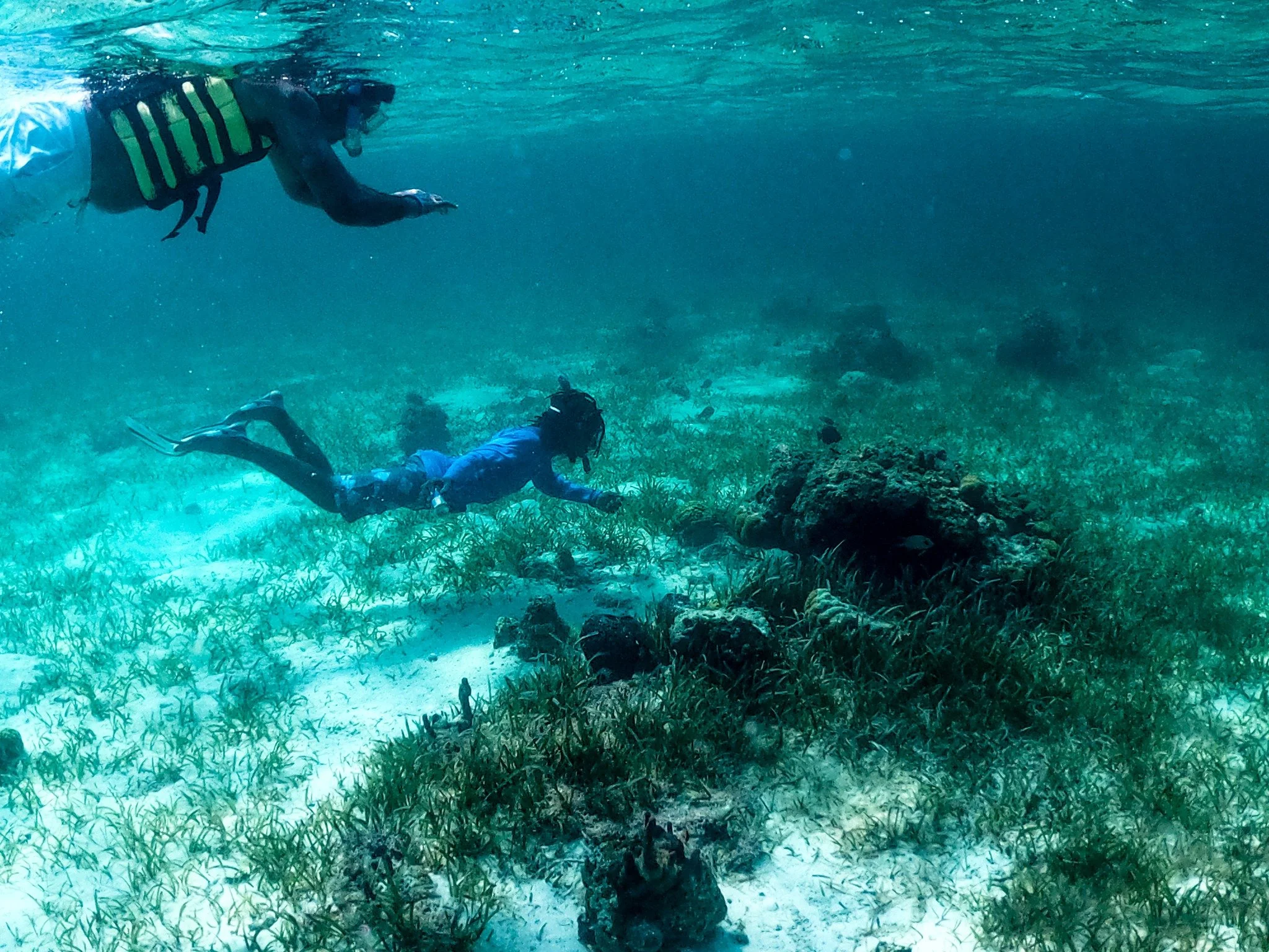Dive deep into color 🤿

#SnorkelingTCI #UnderwaterLife #SillyCreekWaterSports