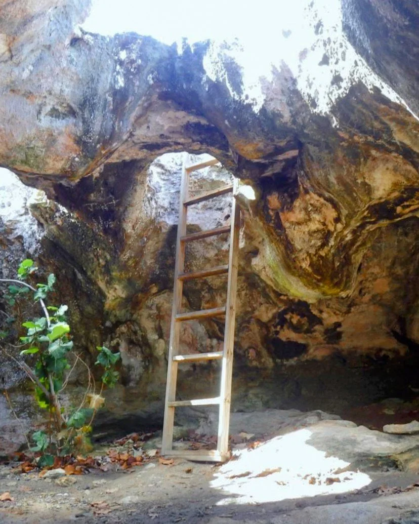 Island adventure starts here 🌴
Explore pirate caves iguana islands and secret beaches on a customized private charter with our experienced crew from Turks and Caicos.

#TurksAndCaicos #IslandExploration #SillyCreekWaterSports