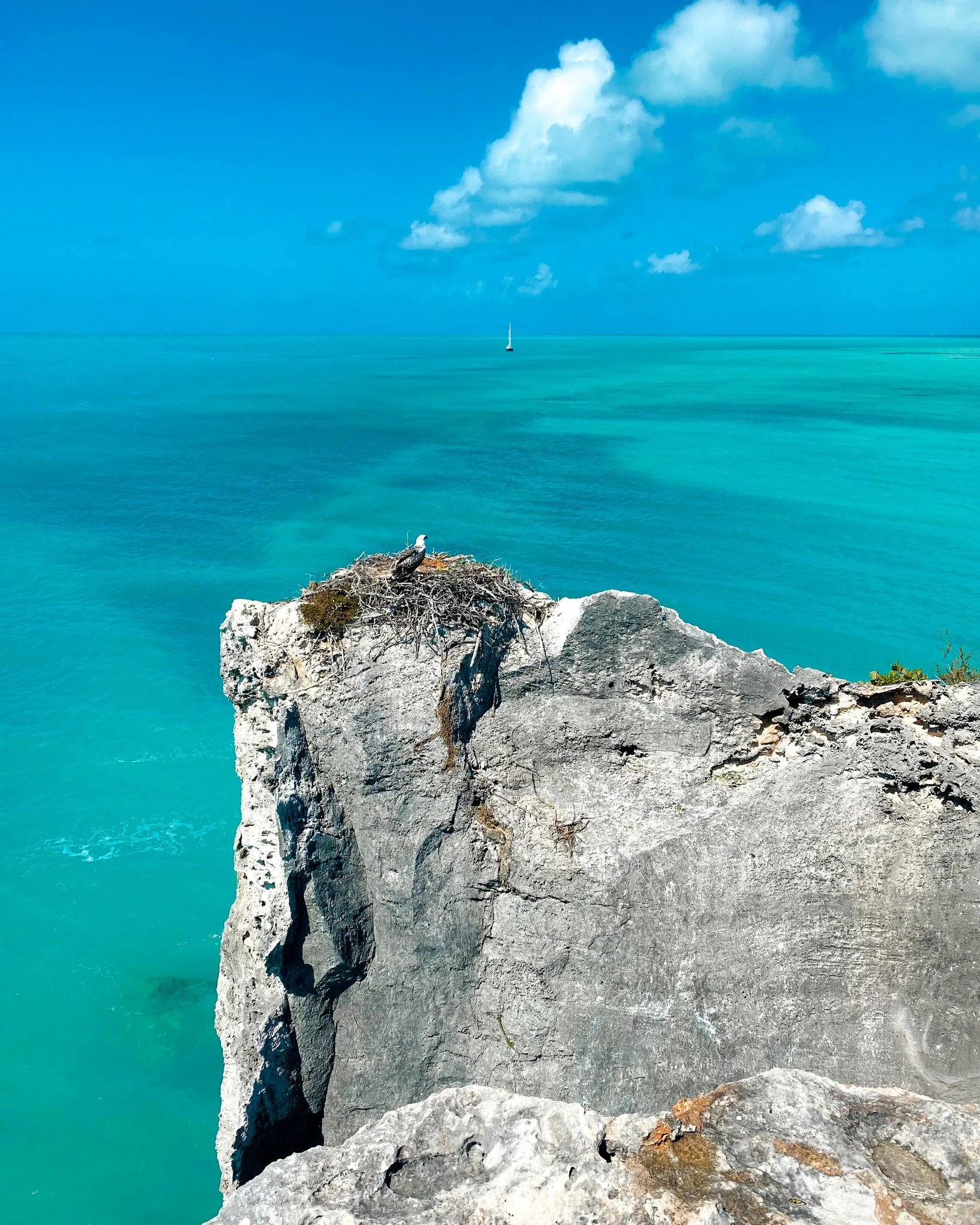 Cliffside views in Turks and Caicos never disappoint 🌊

#TurksAndCaicos #IslandViews #SillyCreekWaterSports