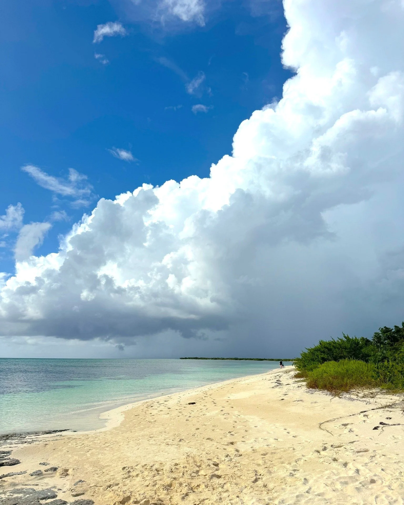 Quiet beaches, clear water, no crowds 🌴
Our private charters take you to secluded shoreline where you can relax, swim and enjoy Turks and Caicos at your own pace.

#TurksAndCaicos #HiddenBeaches #SillyCreekWaterSports
