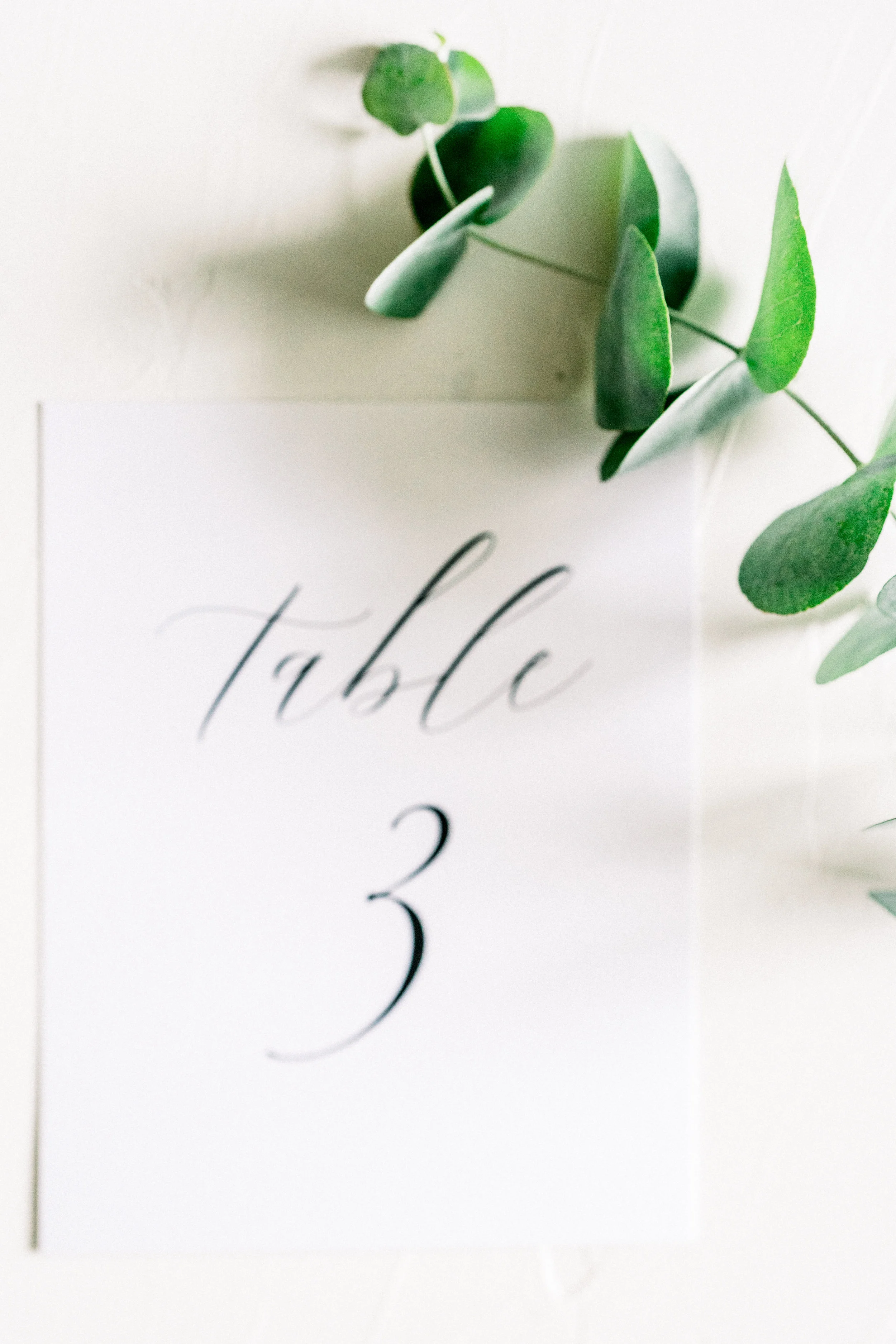 WorkmanCreativeCo-88.jpg