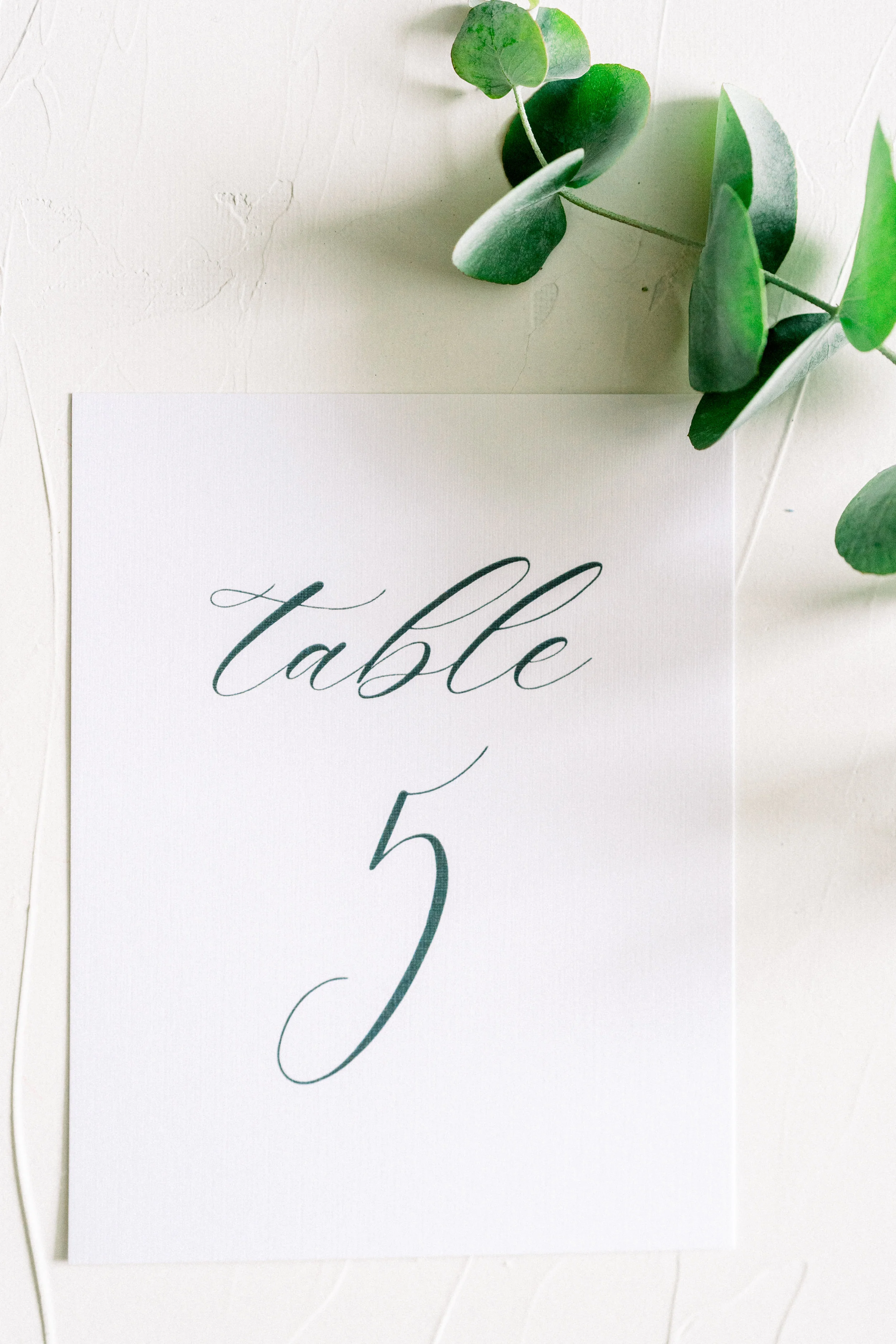 WorkmanCreativeCo-89.jpg