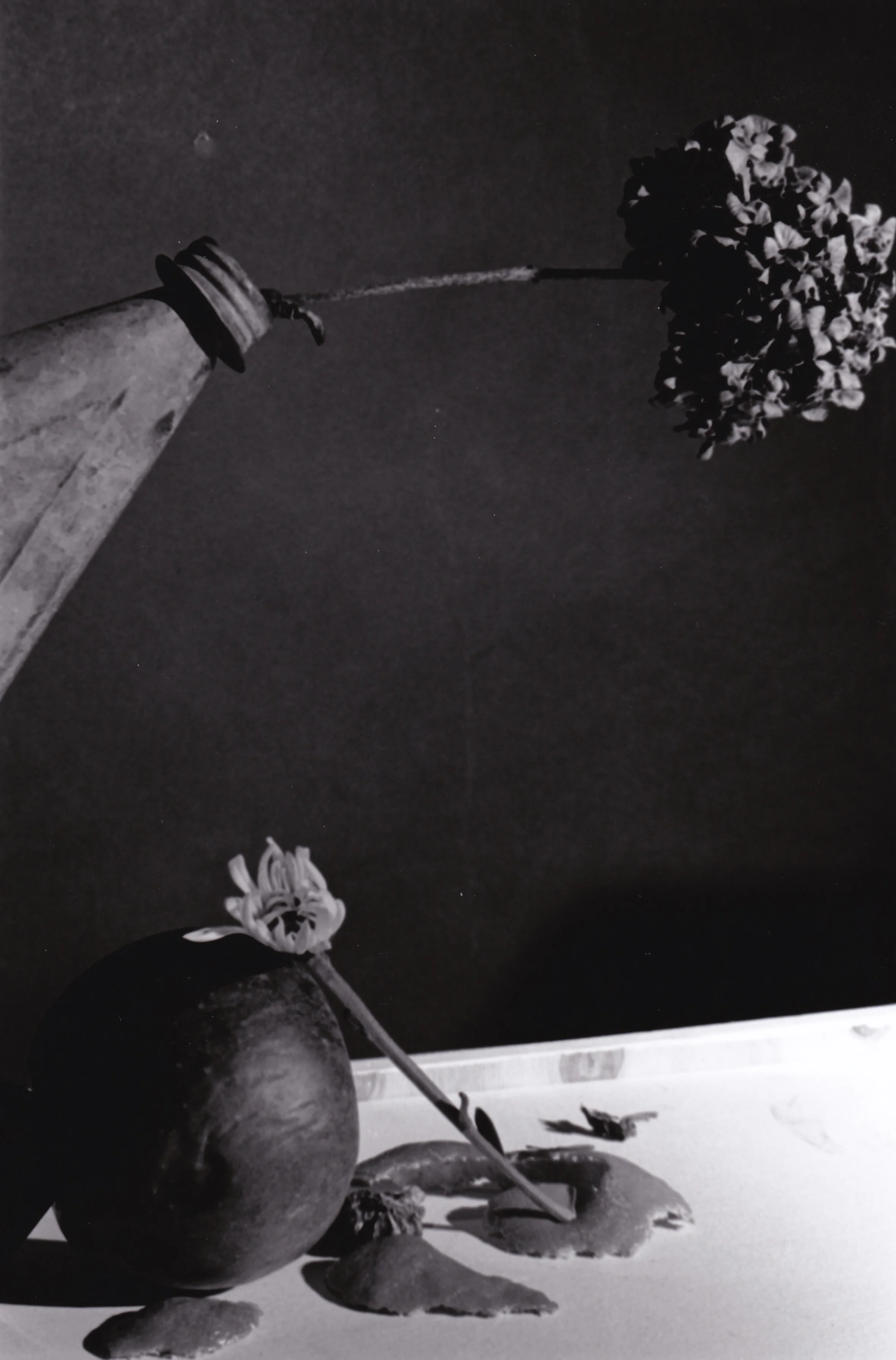 Still Life #2.jpeg