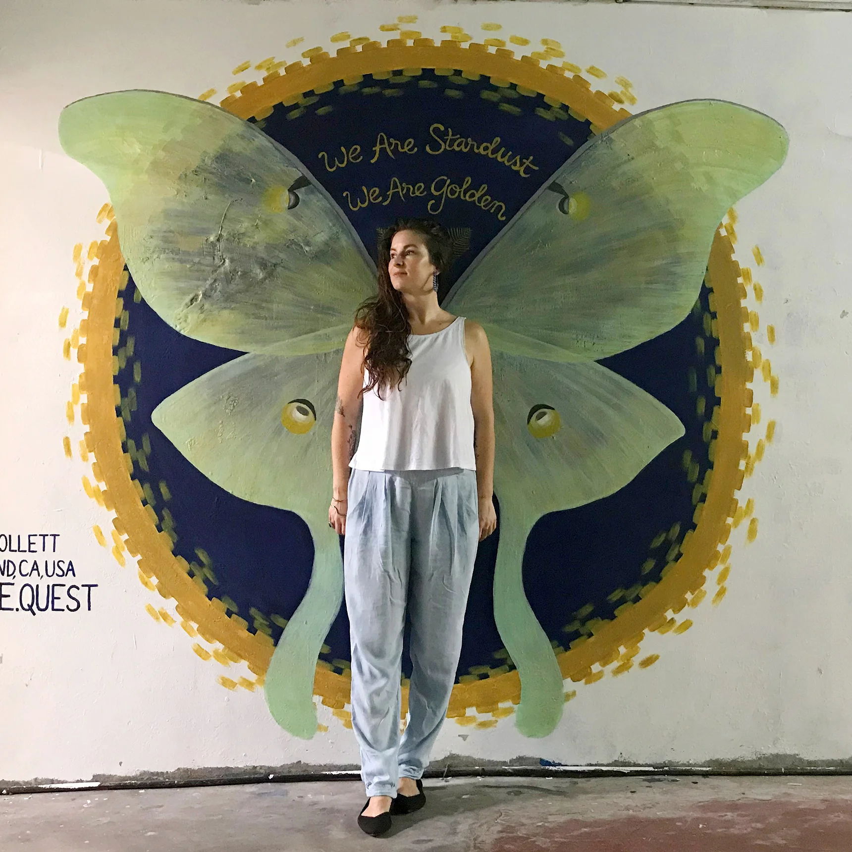 Moth_Mural_1 copy.jpeg