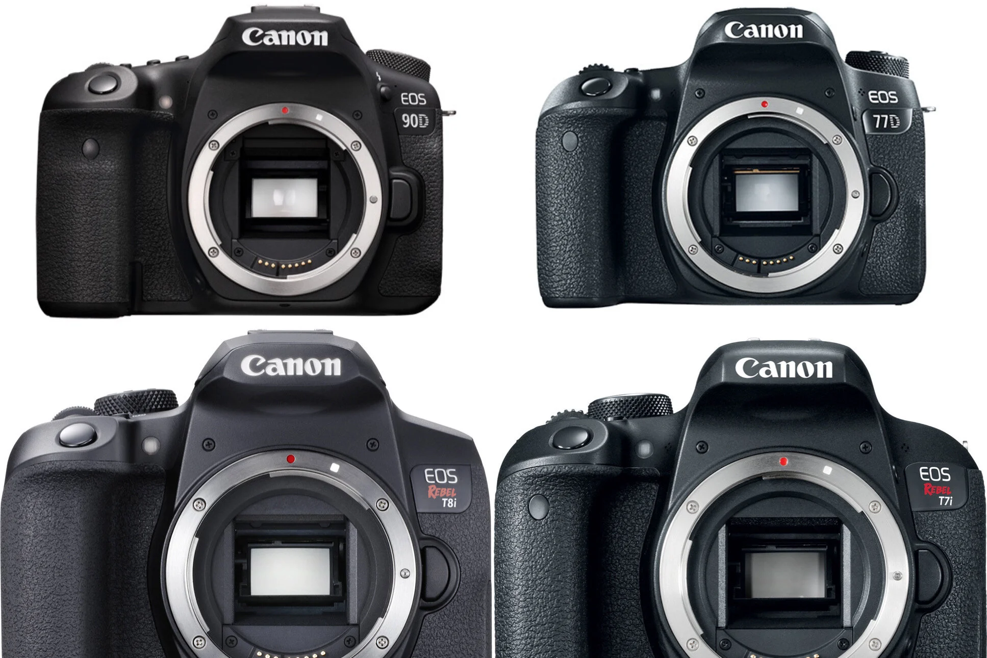 Best Canon APS-C DSLR Cameras to Buy in 2020