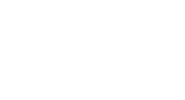 The Lemon Flyers