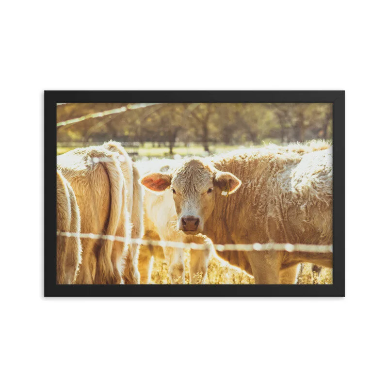 mockup_Transparent_Transparent_12x18_Black-9.jpg