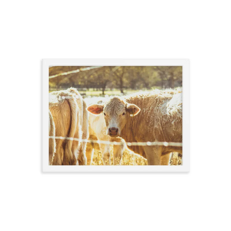 mockup_Transparent_Transparent_12x16_White-2.jpg