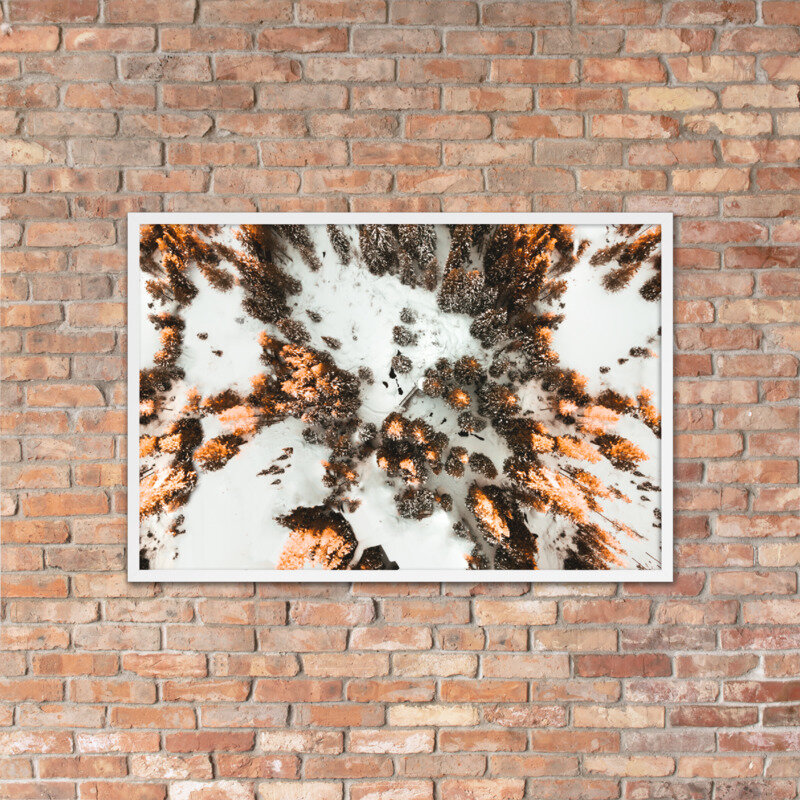 Arapaho National Forest