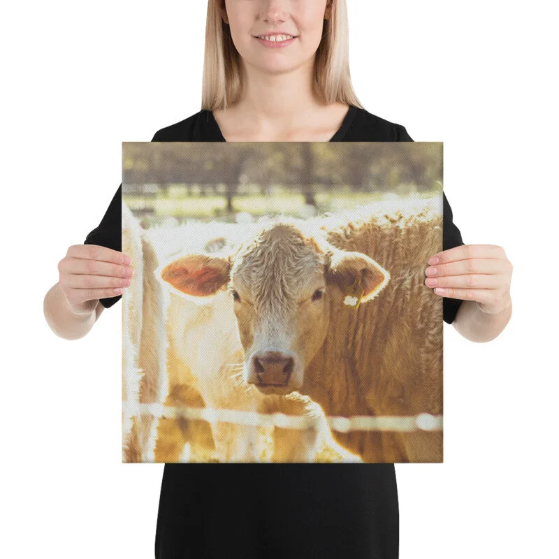 mockup_Person_Person_16x16-1.jpg