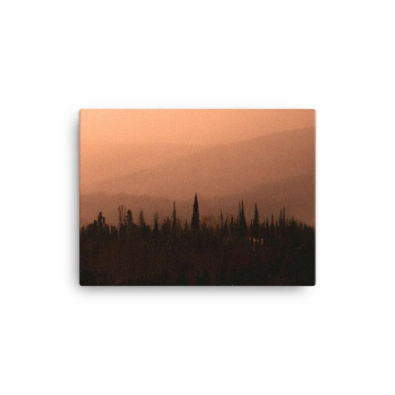 mockup_Wall_Wall_12x16-6.jpg