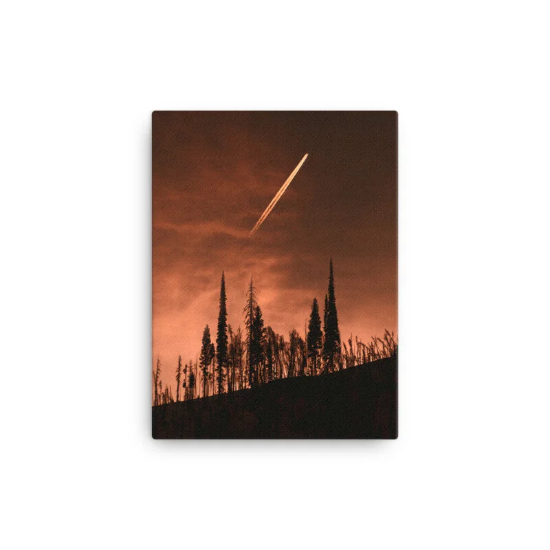 mockup_Wall_Wall_12x16-5.jpg