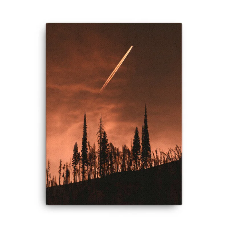 mockup_Wall_Wall_18x24-3.jpg